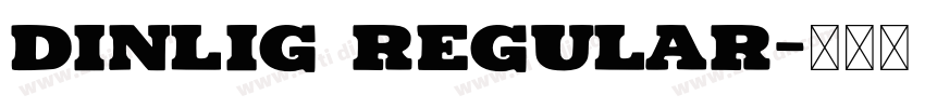 Dinlig Regular字体转换